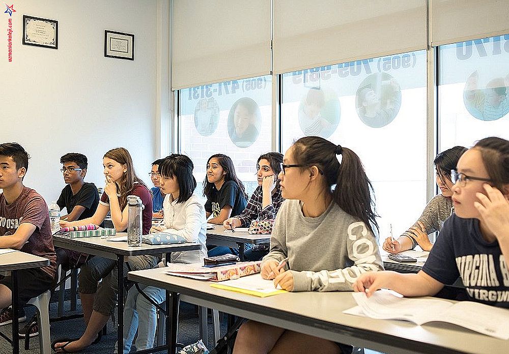 Anadolu ve Fen Lisesi